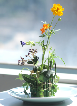 11_HANAKUBARI – DISH GARDEN